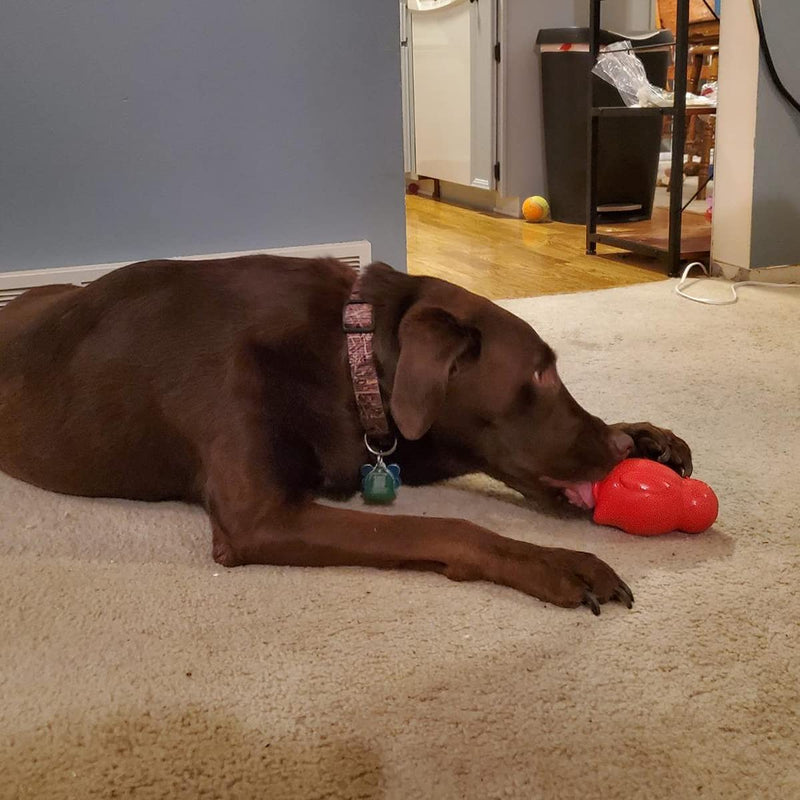 Penguin Durable Dog Chew Toys, Freezable Stuffable Puppy Treat Dispensing Chew Toys, Natural Rubber Interactive Puzzle Game Dog Toys for Small Medium Large Dogs, Fun to Chase and Fetch, Beef Flavor Red - PawsPlanet Australia