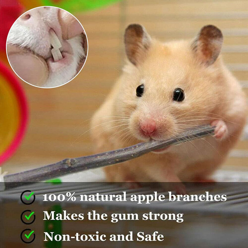 NganSuRong Wooden Hamster Chew Toy 12Pcs Climbing Ladder Sticks Twigs Rabbit Guinea Pig Animal Mouse Chinchilla Rat Gerbil Play Treat Exercise Roller Teeth Care - PawsPlanet Australia