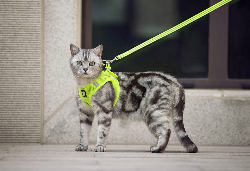 FDOYLCLC Cat Harness and Leash Set for Walking Escape Proof, Step-in Easy Control Outdoor Jacket, Adjustable Reflective Breathable Soft Air Mesh Vest for Small, Medium, Large Kitten X-Small (Chest: 9.8" - 11.8") Fruit Green - PawsPlanet Australia