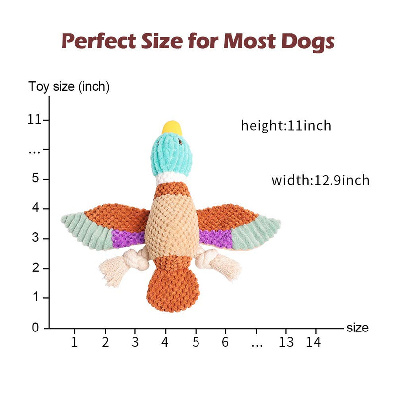 [Australia] - Beewarm Squeaky Dog Chew Toys for Large Medium Small Dogs- Lifetime Replacement Guarantee - Stuffed Animals Rope Chew Toy for Puppy Birds Combo 