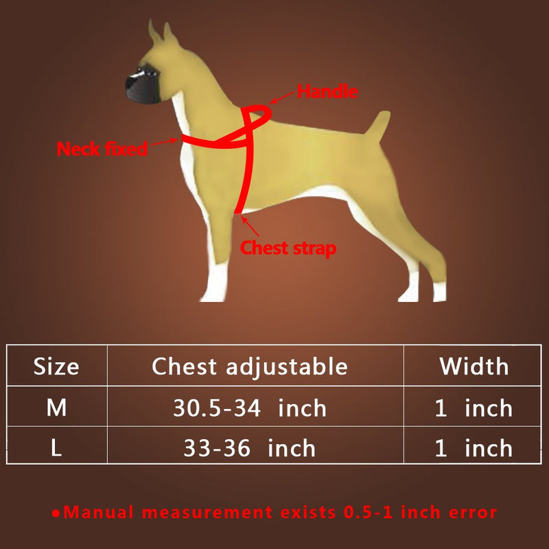 [Australia] - Beirui 1" Width Genuine Leather Soft and Padded Dog Harness - Heavy Duty for Labrador German Shepherd L: Chest 33"-36" Brown 