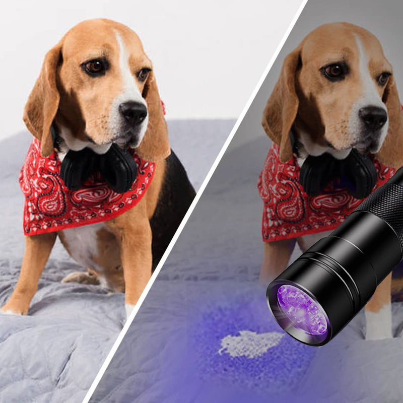 Beike D09 UV Flashlight(Battery Included), 395nm Black Light Flashlight, 12 LED Mini UV Light Flashlight for Pets Urine and Stains - PawsPlanet Australia