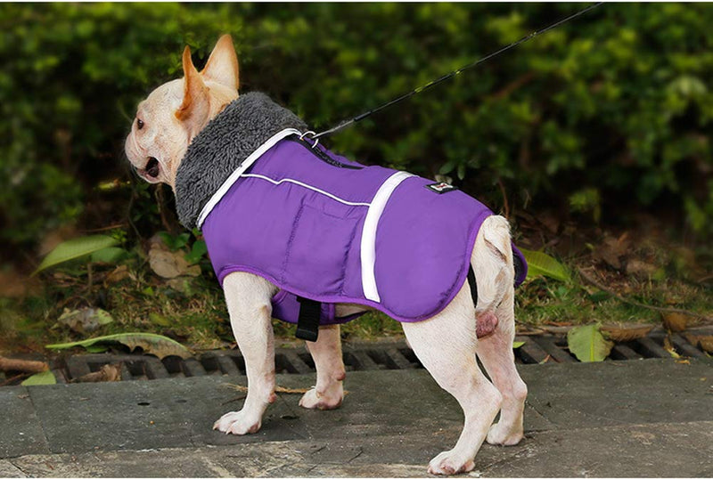 [Australia] - ZEEY Cold Winter Warm Padded Pet Coat, Water Resistant Dog Jacket Winter Pet Dog Clothes Apparel XL Purple 