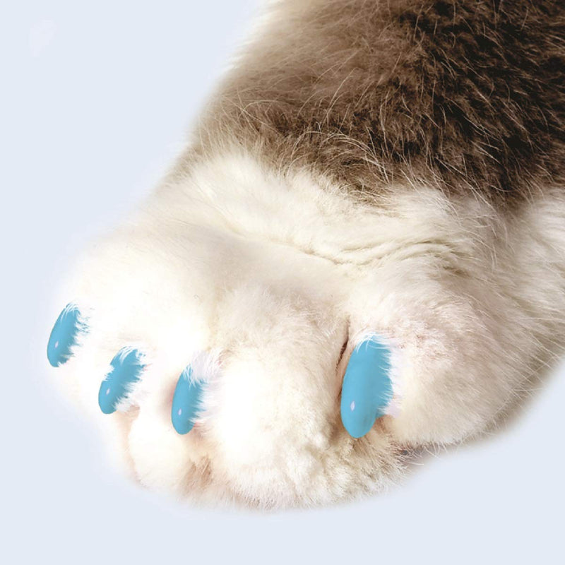 [Australia] - Soft Claws Feline Cat Nail Caps Take Home Kit, Medium, Pastel Blue 