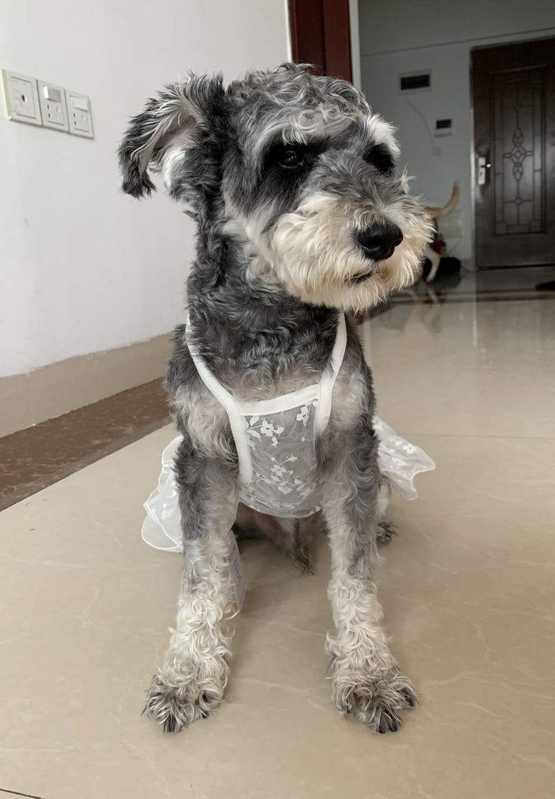 [Australia] - BBEART Pet Skirt,Dog Lace Princess Skirt Wedding Dresses, Lovely Bow Breathable Pet Clohtes for Cats Puppy Small Dogs L: Back Length 30cm White 