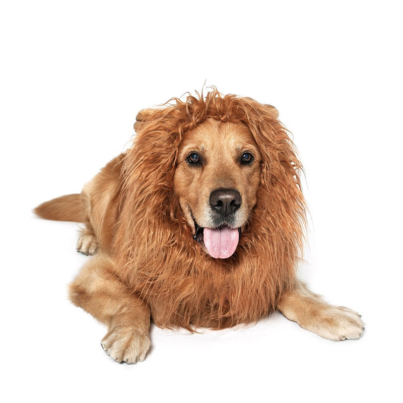 [Australia] - JUBOZAMO Dog Lion Mane - Realistic & Funny Lion Mane for Dogs - Complementary Lion Mane for Dog Costumes Brown 