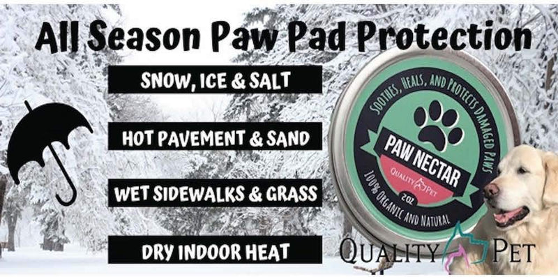 100% Organic and Natural Paw Wax Heals and Repairs Damaged Dog Paws, Dog Paw Balm - PawsPlanet Australia