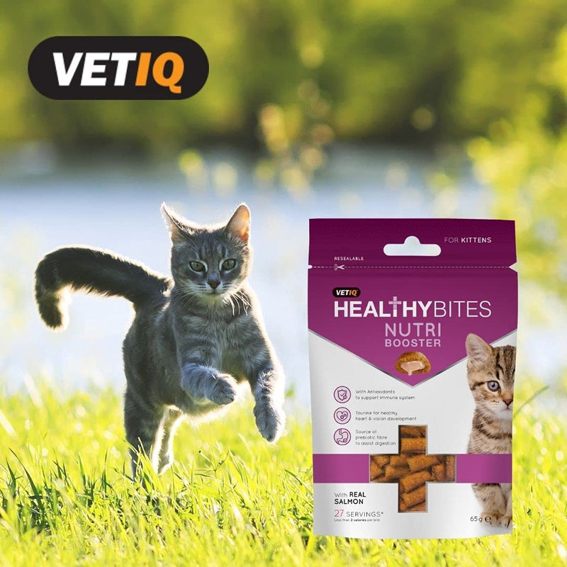 VetIQ Healthy Bites Urinary Care For Cats & Kittens 65g - Pack of 8 & Healthy Bites Hairball Remedy For Cats and Kittens 65g - Pack of 8 - PawsPlanet Australia