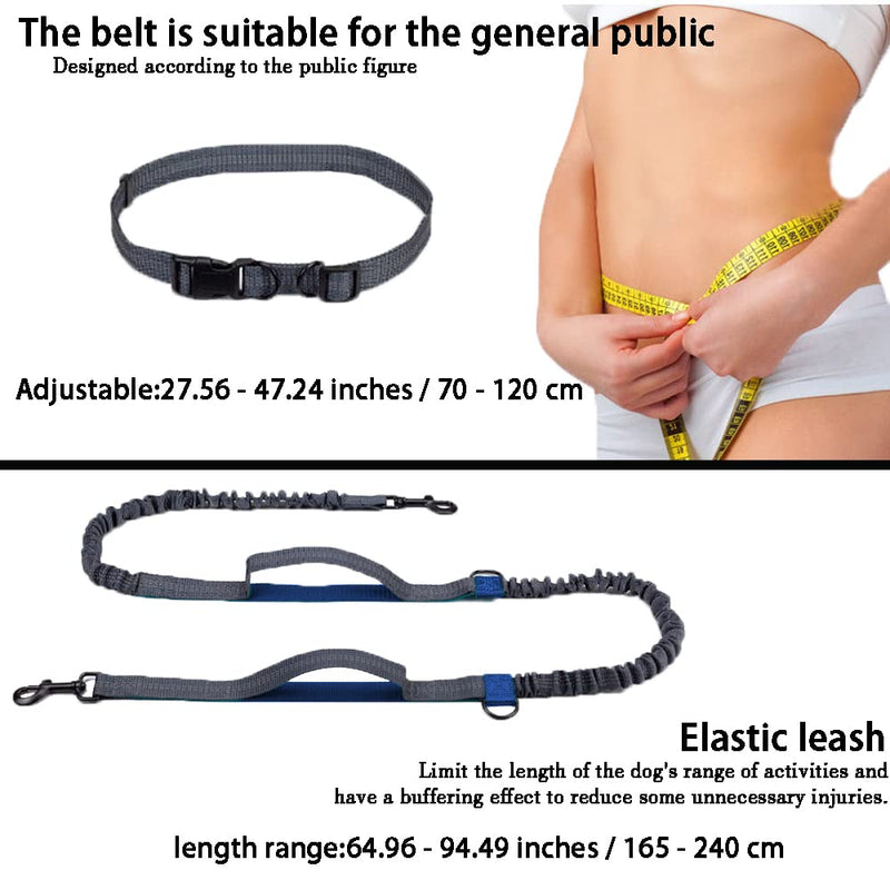 JVHLOV 165-240 cm jogging leash for dogs, retractable leash with double handle and waist belt, elastic and reflective running leash, premium dog leash for running and walking - PawsPlanet Australia