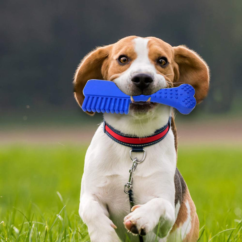 Nip and Chew toy – Toothbrush Shape – Blue - Interactive Toy for Playing & Training – Fun for your Dog and Puppies - PawsPlanet Australia