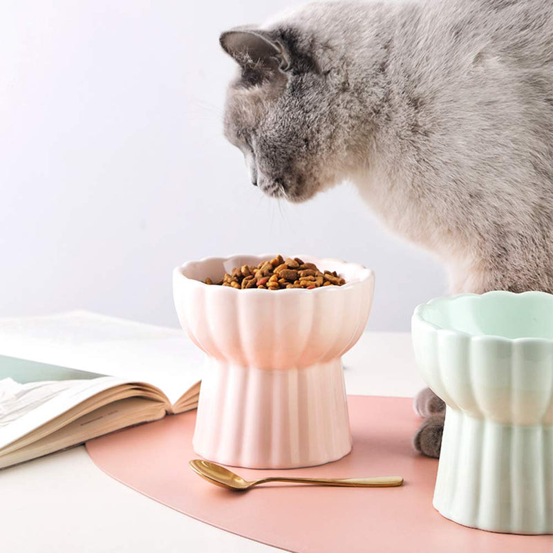 HCHLQLZ ceramic Raised Cat Bowls, Elevated Food or Water Bowls, Stress Free, Backflow Prevention, Dishwasher and Microwave Safe, Lead & Cadmium Free White - PawsPlanet Australia