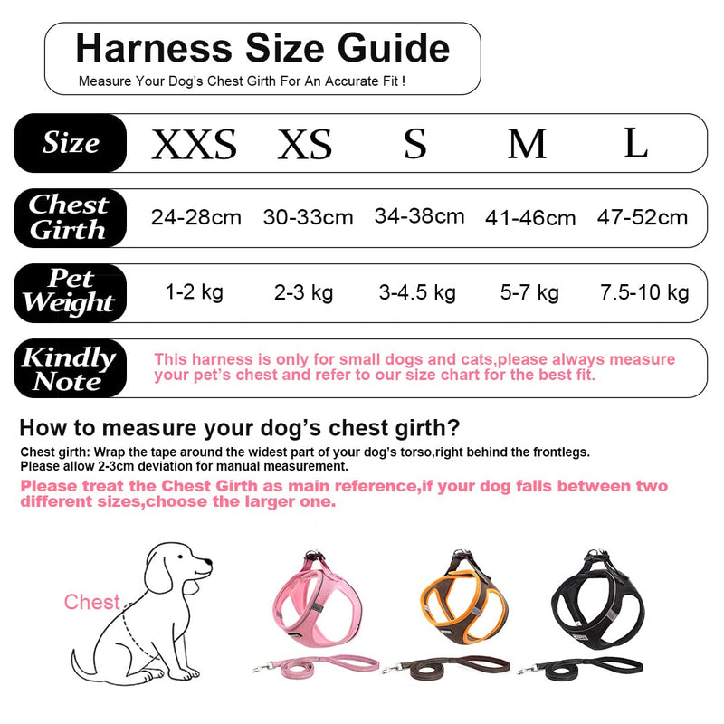 Suredoo Pet Reflective Soft Mesh Dog Harness and Leash Set, No Pull Breathable Padded Step in Vest Harness Leash Set, Comfort Training Walking for Small Dogs Cats Puppies (XXS, Black) XXS--Chest: 24-28cm (Pack of 1) - PawsPlanet Australia