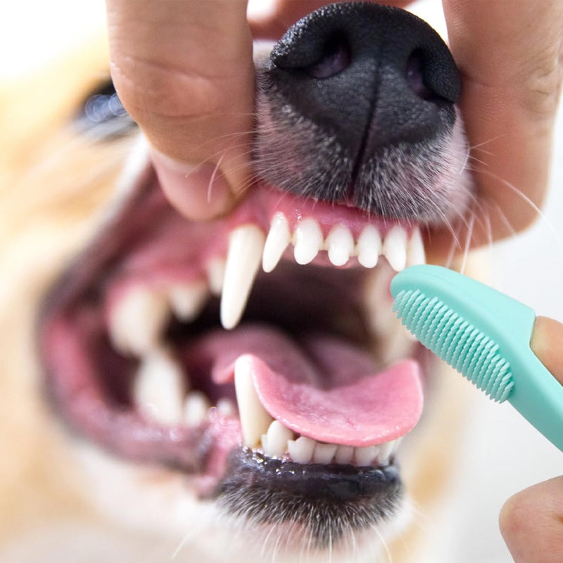 PLKSEI Pack of 6 Dog Toothbrush Silicone Pet Toothbrush Finger Toothbrush for Small Dogs Cats Dental Care - PawsPlanet Australia