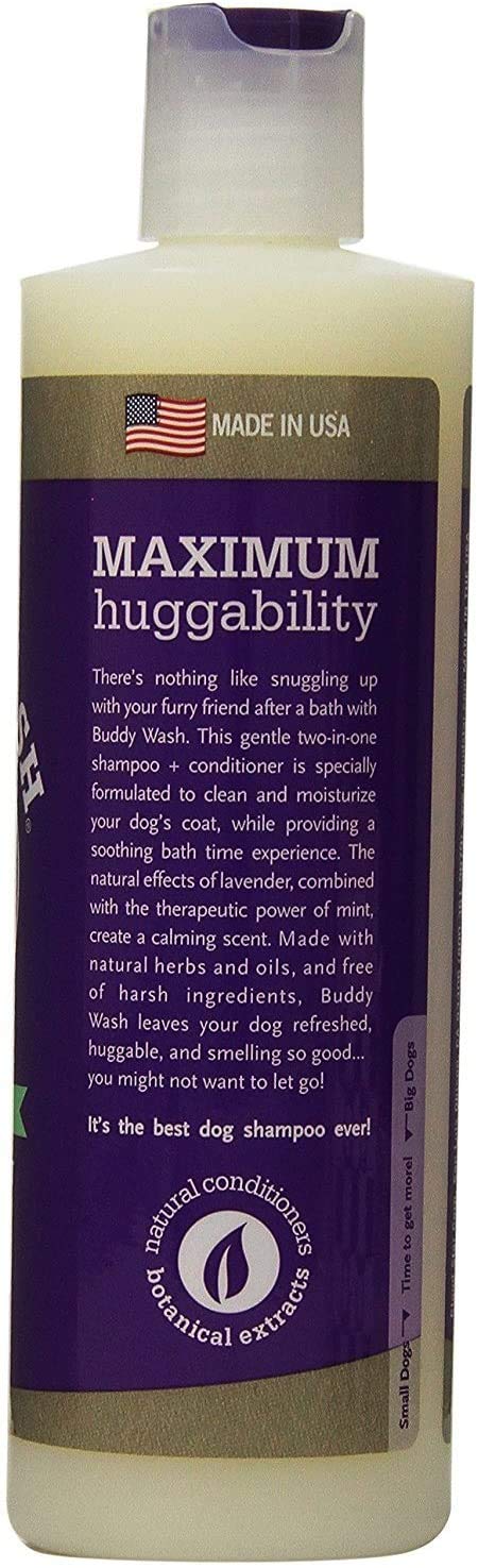 [Australia] - Cloud Star Shampoo and Conditioner Lavender & Mint Combo Pack for Dogs: (1) Buddy Wash 2 in 1 Shampoo + Conditioner and (1) Buddy Rinse Hydrating Therapy Conditioner (2 Bottles Total, 16 Ounces Each) 