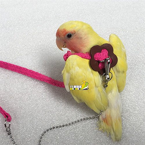 Parrot Bird Adjustable Harness Leash Anti-bite Multicolor Light Soft Fashion Color Random - PawsPlanet Australia