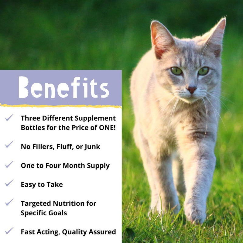 Hey Day Pets Cat Care Support Bundle - Cat Care Supplements - With Omega 3 6 9 + Probiotics - Active Culture Complex for Healthy Digestion, Skin & Coat - Essential for Cat Health (300 Tablets) - PawsPlanet Australia