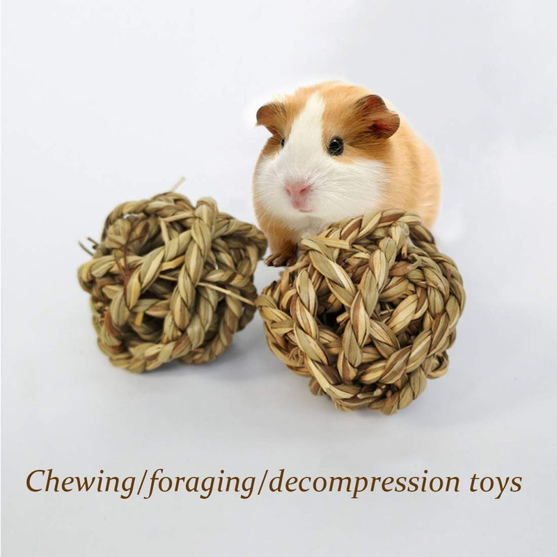 Small Animal Ball Toy, Rabbit Activity Toy, Small Animal Chew Toys Grass Ball for Hamsters Gerbils Bunny Rabbits Guinea Pigs 10 Pcs - PawsPlanet Australia