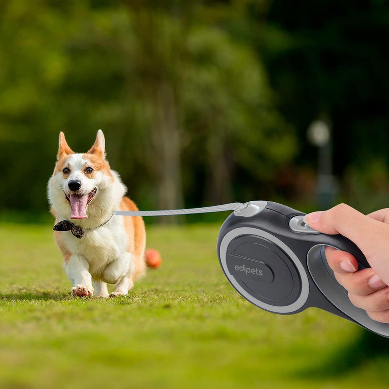 Edipets, dog leash, extendable, retractable, 3, 5 and 8 meters, flexible band for right and walks, dog leash, reel leash, flexi leash, retractable (gray, 8 meters) gray - PawsPlanet Australia