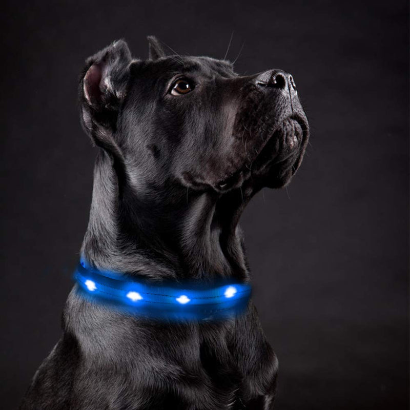 [Australia] - LED Dog Collar - Rechargeable Light Up Safety Pet Collar - Waterproof Flashing Light Up Dog Collar, Basic Dog Collars L(19-23.6"/48-60cm) Blue 