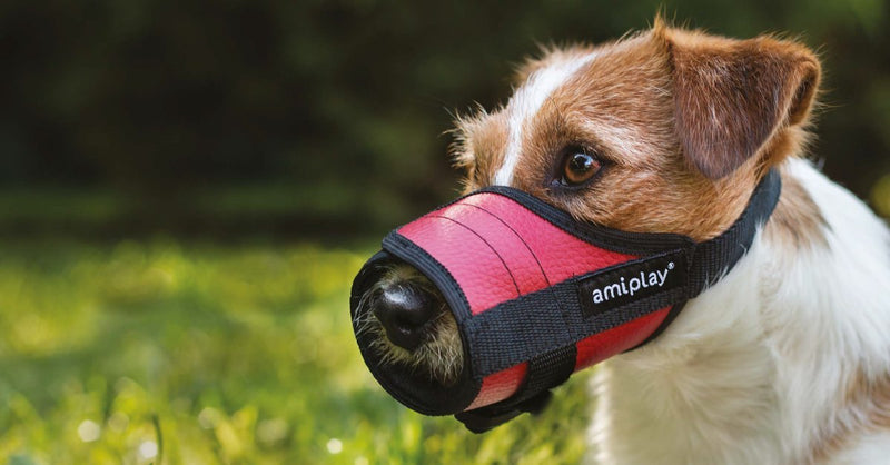 Ami Play Imitation Leather Muzzle for Large Dogs, Size 4, Black - PawsPlanet Australia