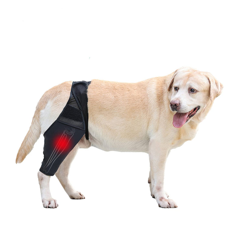 Dog Knee Brace Dog Leg Brace for Support with Cruciate Ligament Injury Dog Leg Brace for Torn acl Hind Leg Better Recovery with Dog ACL Knee Brace Dog Hip Support Brace Pet Knee Brace (M) Medium - PawsPlanet Australia