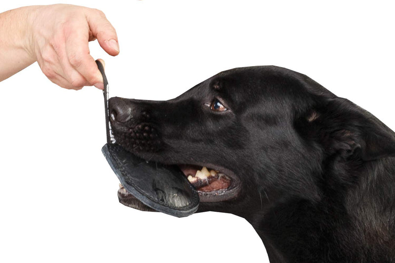Dingo Gear Bite Tug Genuine Leather Handmade Tough Toy for K9 Dog Training and Play S00229, Black - PawsPlanet Australia