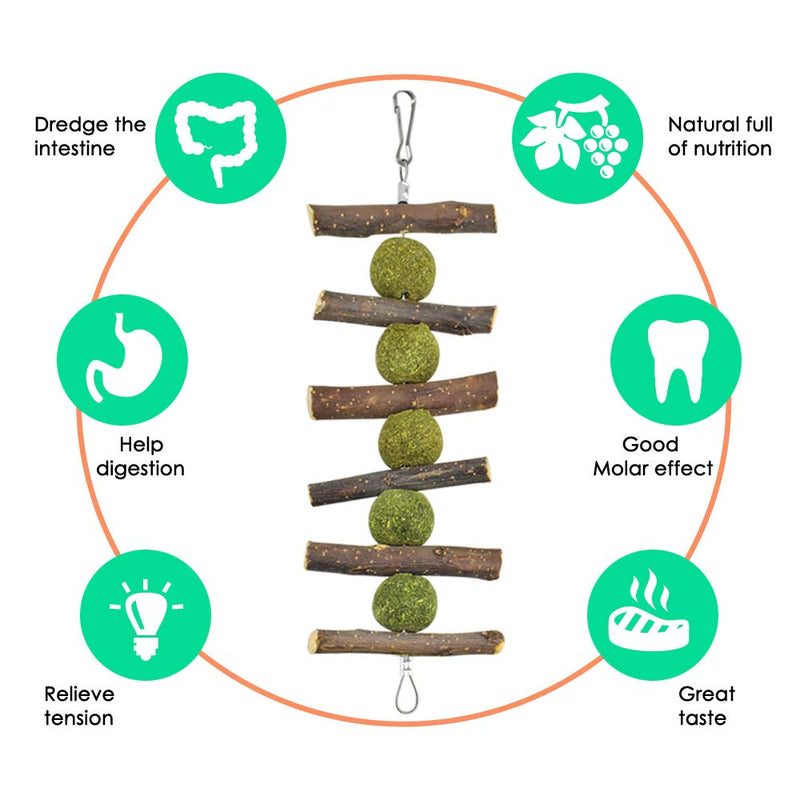 KATUMO Rabbit Chew Toys, 100% Natural Apple Wood Chinchillas Guinea Pigs Hamsters Molar Toys Accessories Suitable for Rabbits Squirrel Gerbils Small Pets Chewing and Playing Exercise Teeth Care - PawsPlanet Australia