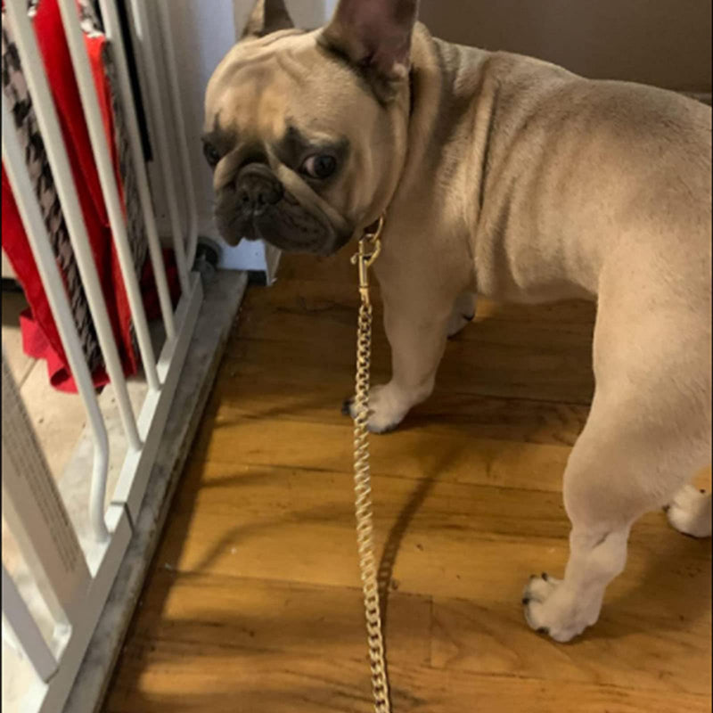 Rose Gold Chain Dog Leash,12MM Width Rose Gold Plated Strong Stainless Steel NK Link Chain with PU Leather Handle,Metal Leash for Small Medium,Large Dogs 3ft(36 inch) - PawsPlanet Australia
