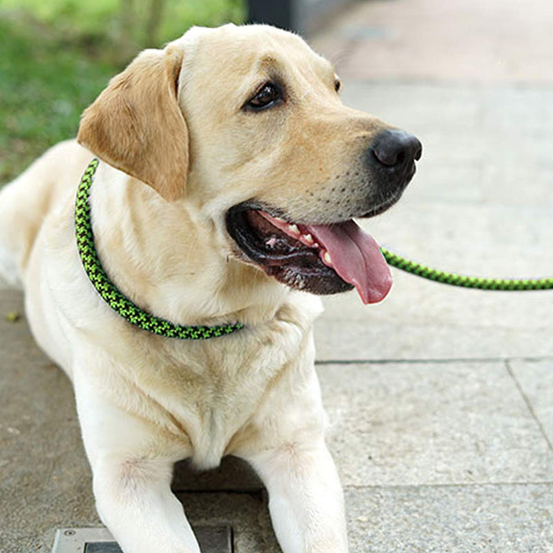 [Australia] - Mycicy Durable Rope Slip Collar Choke Dog Lead- Extremely Comfortable Handle No-Pull Pet Training Leash for Medium and Large Dogs-1.5mx12mm 1/2" x 5Ft Green A 