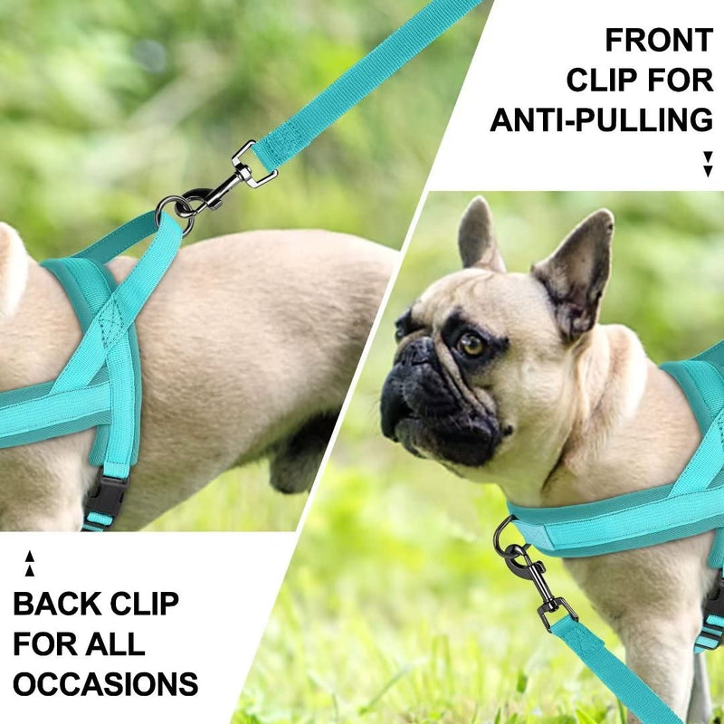 Beirui No Pull Dog Harness for Small Dogs Puppies, Soft Neoprene Quick Fit Harness with Durable Front Clip & Back Clip, Lightweight Easy for Daily Walking (Hot Pink,S) S:Chest 17-21", Neck 12" Hot Pink - PawsPlanet Australia