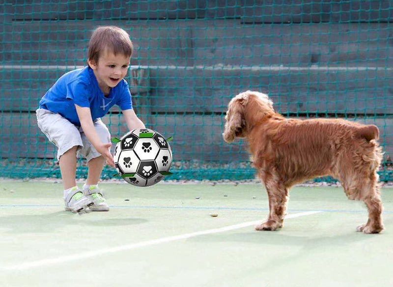 Healthman Dog Toy Balls with Straps, Interactive Dog Toy and Fun Dog Toy for Water, Garden and Outdoor (Large) L - PawsPlanet Australia