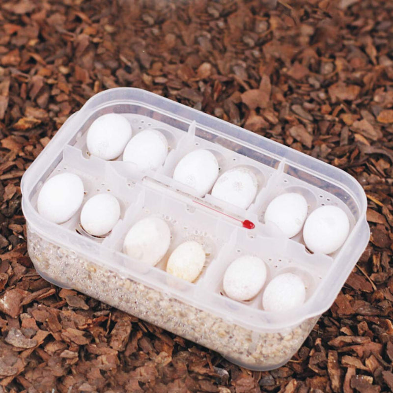 GOTOTOP Reptile Breeding Box with Thermometer, Eggs Incubator Hatchery Box for Hatching Gecko lizards snakes and other reptiles - PawsPlanet Australia
