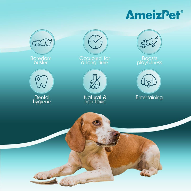AmeizPet Antlers for dogs, natural, durable dog chew bone, deer chew bone for the dog, deer antler, long-lasting - 1 piece M size M size 1 pc - PawsPlanet Australia