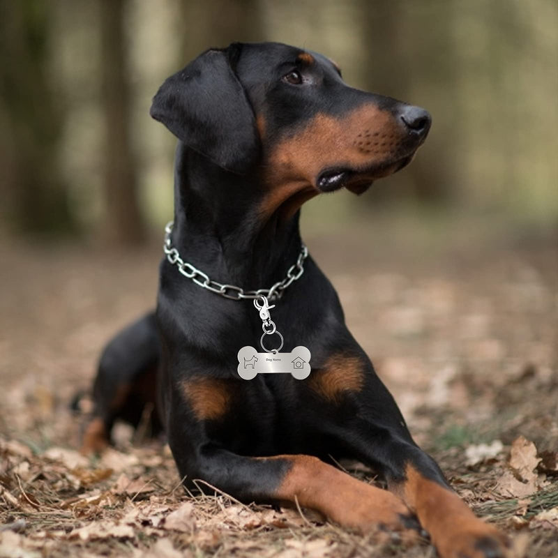 Molain 4 Set Dog Tag Clips with 10 Dog Tag Rings, Durable Dog Tag with Rings for Dogs and Cats, Collar - PawsPlanet Australia