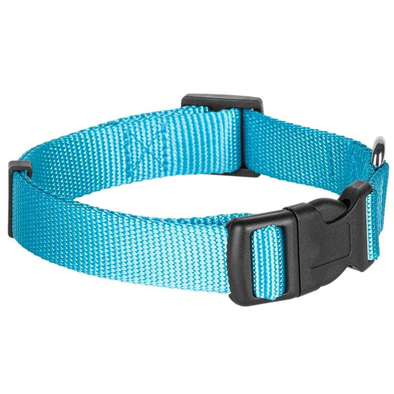 [Australia] - Blueberry Pet Essentials 22 Colors Classic Solid Color Collection - Regular Collars, Martingale Collars, Personalized Collars or Seatbelts Regular Collar - Small Turquoise 