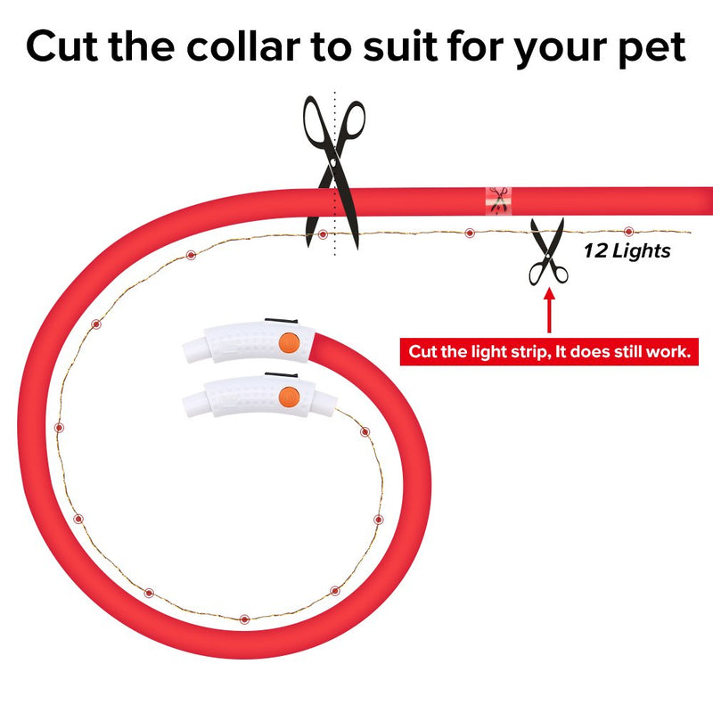 [Australia] - HiGuard LED Dog Collar, USB Rechargeable Glowing Pet Safety Collars, Adjustable Water-Resistant Flashing Light Up Necklace Collar Make Your Dogs High Visible & Safe in the Dark (1 Pack-Red) 