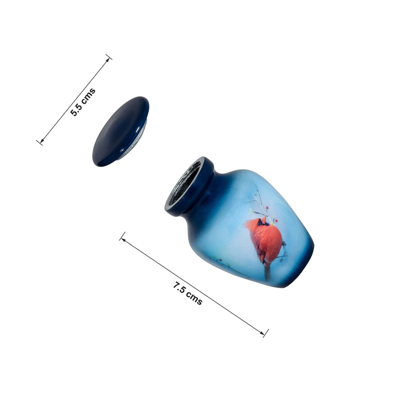 Small Keepsake Cremation Urn with Velvet Case | Choose From Unique Colors | lovely Sharing Mini Metal Token For Human Ashes or Pet. (Keepsake, Cardinal) - PawsPlanet Australia