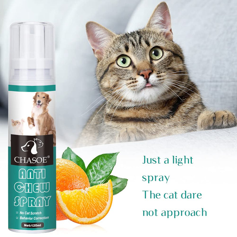 SEGMINISMART Cat Scratch Deterrent Spray,Cat Training Spray,Stop Scratch Training Spray,Cat Scratching Training Spray, for Plants, Furniture and Floor - PawsPlanet Australia