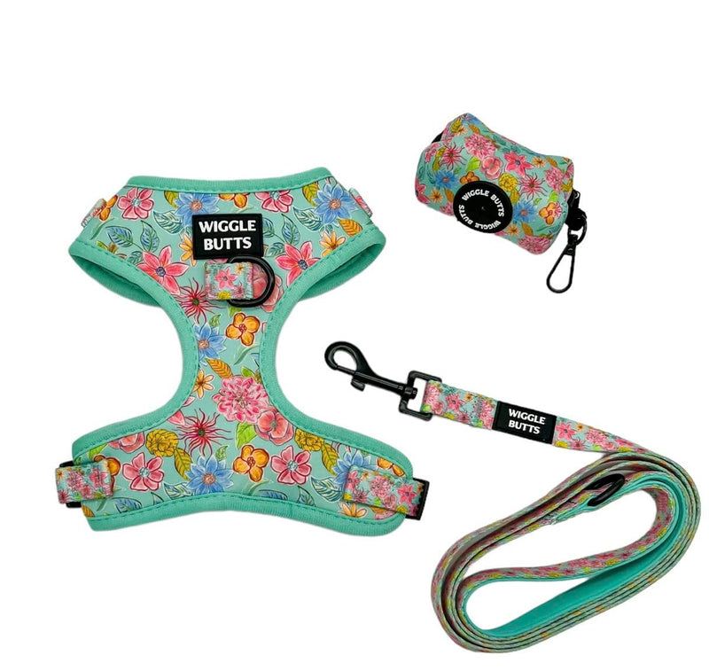 Turquoise Floral Dog Harness + Leash Set (Small) Small - PawsPlanet Australia