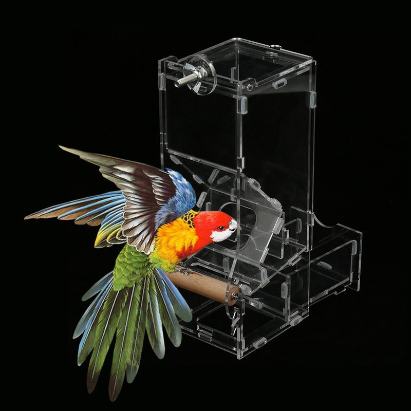 [Australia] - Yutiny Bird Seed Feeder Acrylic Parrots Birds Seeds Feeding Station Automatic Birds Foraging Systems Bird Food Feeder #1 