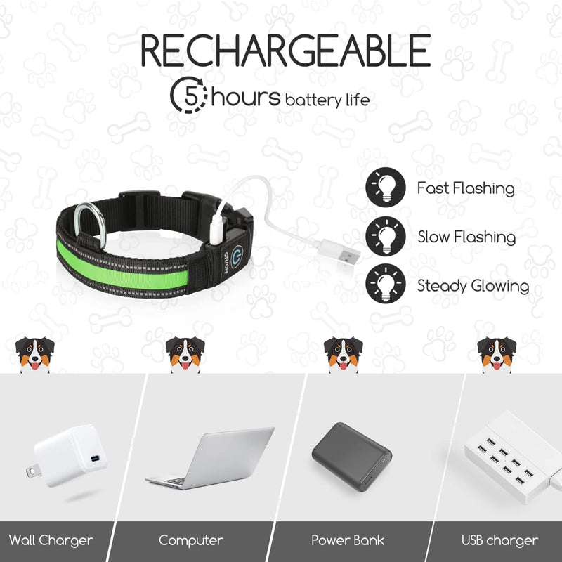 Nobleza - LED light collar for dogs, rechargeable dog collar, luminous, collar adjustable, 100% waterproof, 3 flashing lights, safety collar for large, small, medium-sized dogs, green L - PawsPlanet Australia