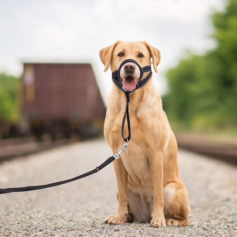 [Australia] - VavoPaw Dogs Muzzle Guard, Nylon Soft Padding Light-Reflecting Strip Dog Muzzle Prevent from Biting, Barking, Chewing, Universal Muzzle Adjustable Snout & Neck Strap Apply to Large Dogs 