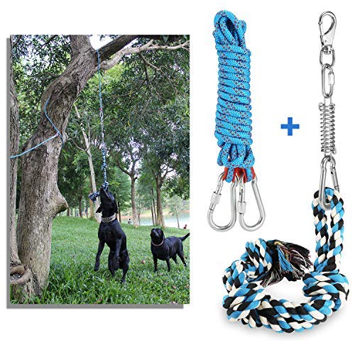 DIBBATU Spring Pole Dog Rope Toys with a Big Spring Pole Kit, Strong Dog Rope Toy and a 16ft Rope for Pitbull & Medium to Large Dogs Outdoor Hanging Exercise Rope Pull & Tug of War Toy-Muscle Builder - PawsPlanet Australia