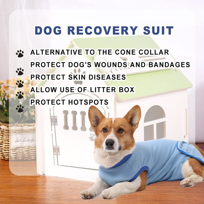 Dog Surgical Recovery Suits, Dog Recovery Suit, Cat Onesie After Surgery, Dog Body Suit Recovery, Surgery Suit for Male Female Dog Cat, Anti-Licking Pet Surgical Recovery Snuggly Suit XS Blue - PawsPlanet Australia