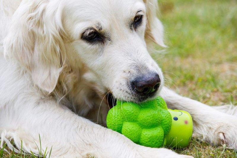 Petface Latex Broccoli Soft Chew Dog Toy, Small - PawsPlanet Australia