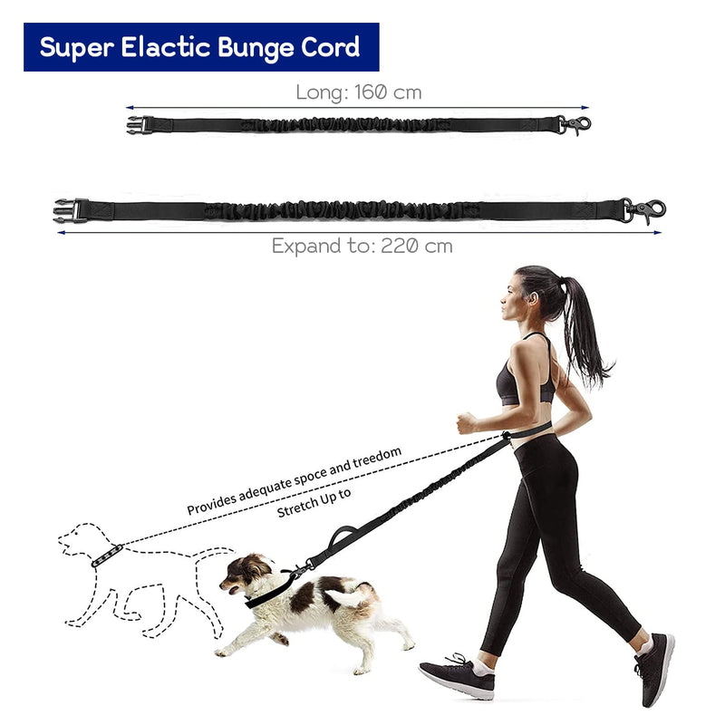 Edipets, Dog Jogging Lead, Hands-Free, Running, Hiking, Webbing, Anti-Stress, Reflective, 160-220cm (Grey) - PawsPlanet Australia