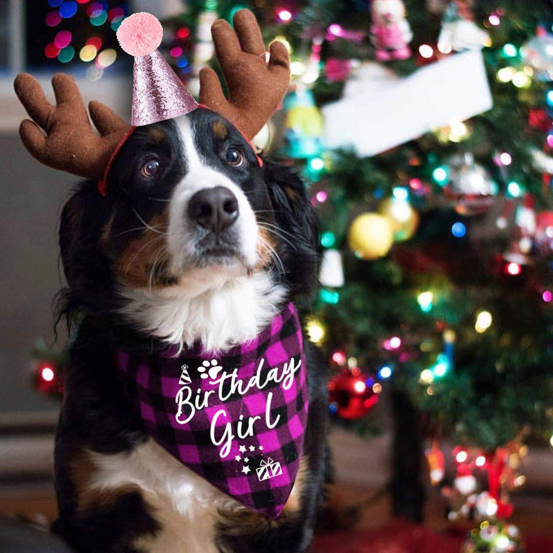 family Kitchen Classic Pink Plaid Pet Puppy Dog Bandana with Dog Birthday Party Hat Accessories, Girl Dog Birthday Bandana Scarf Bibs for Pet Birthday Outfit Party Supplies Set - PawsPlanet Australia