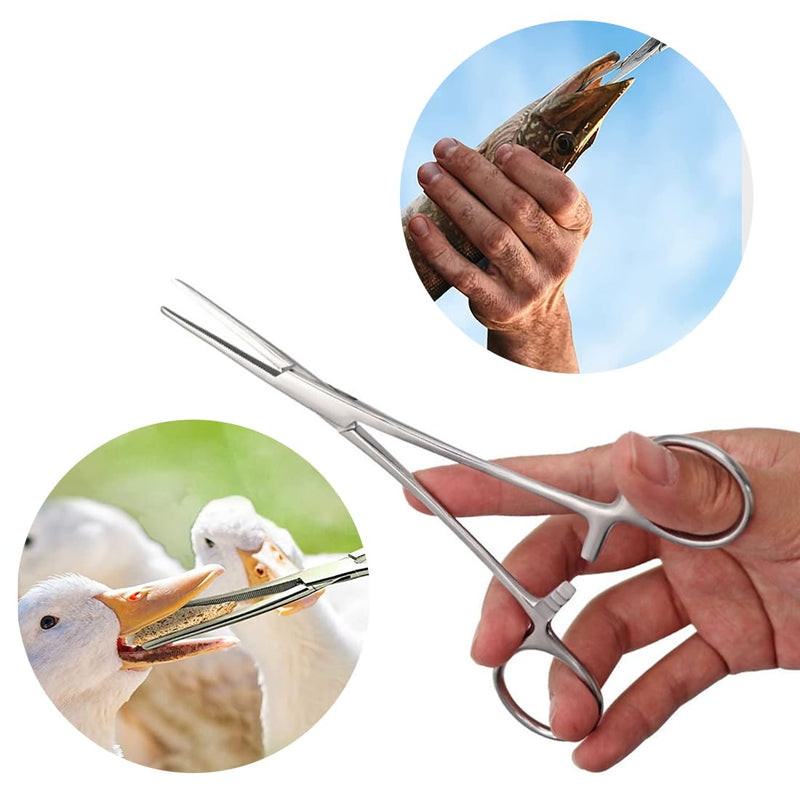 ASYKNM 2 pieces ear tweezers, dog ears plucking pliers, hair plucking pliers, dog hair plucking pliers, animal hair remover, stainless steel, rust-proof with internal teeth without lock in professional quality - PawsPlanet Australia