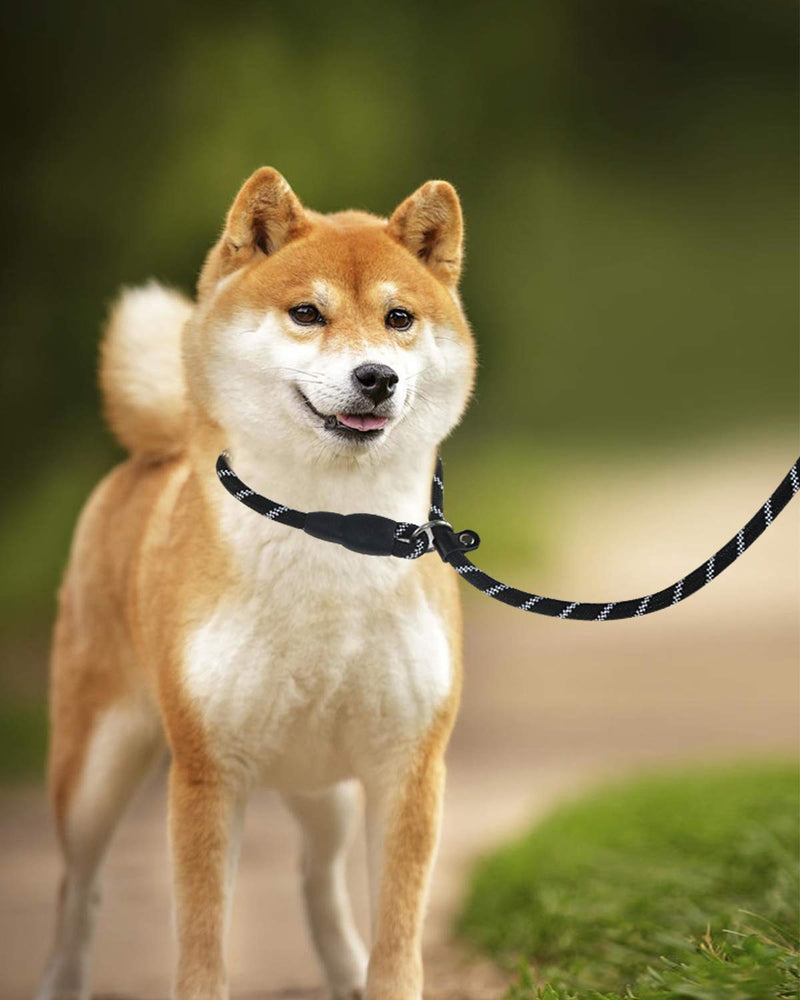 [Australia] - Joytale Dog Slip Leash Rope - Reflective Training Leads for Small Medium Large Dogs - 3/8 & 1/2 inch by 6 Feet 3/8"x6' Black 