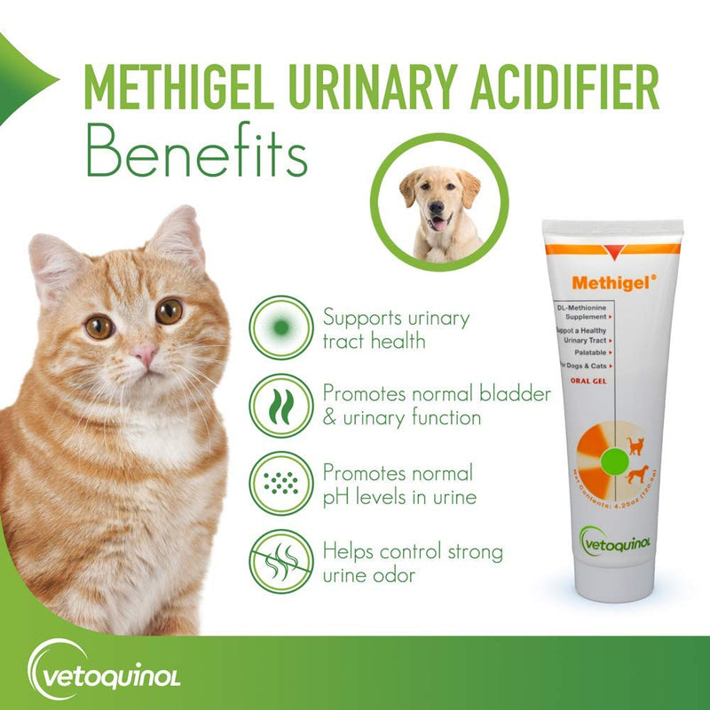 Vetoquinol Methigel Urinary Acidifier to Promote Urinary and Bladder Health for Dogs & Cats 4.25 Ounce (Pack of 2) - PawsPlanet Australia